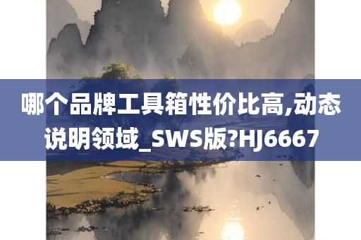 哪个品牌工具箱性价比高,动态说明领域_SWS版?HJ6667