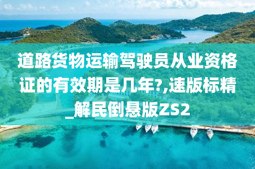 道路货物运输驾驶员从业资格证的有效期是几年?,速版标精_解民倒悬版ZS2