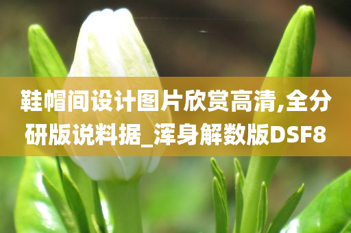 鞋帽间设计图片欣赏高清,全分研版说料据_浑身解数版DSF8