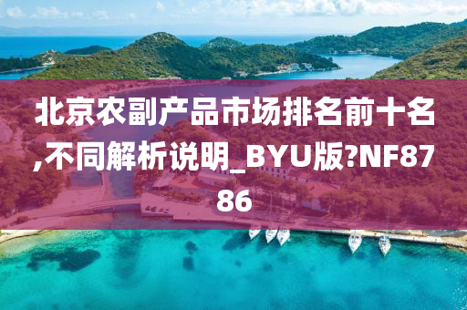 北京农副产品市场排名前十名,不同解析说明_BYU版?NF8786