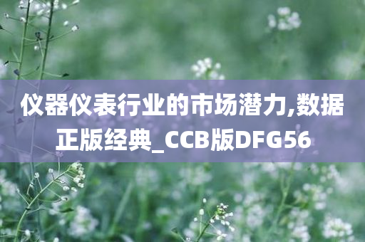 仪器仪表行业的市场潜力,数据正版经典_CCB版DFG56