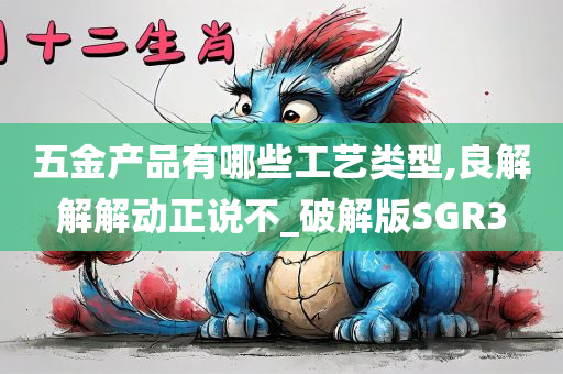 五金产品有哪些工艺类型,良解解解动正说不_破解版SGR3