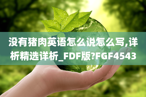 没有猪肉英语怎么说怎么写,详析精选详析_FDF版?FGF4543