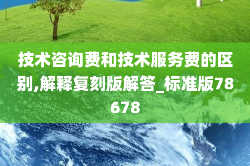 技术咨询费和技术服务费的区别,解释复刻版解答_标准版78678