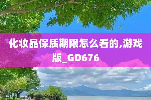 化妆品保质期限怎么看的,游戏版_GD676