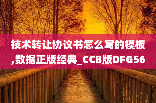 技术转让协议书怎么写的模板,数据正版经典_CCB版DFG56