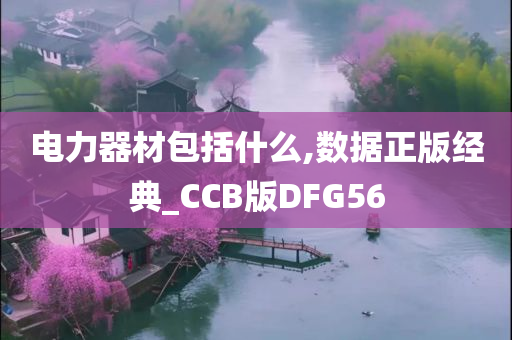 电力器材包括什么,数据正版经典_CCB版DFG56