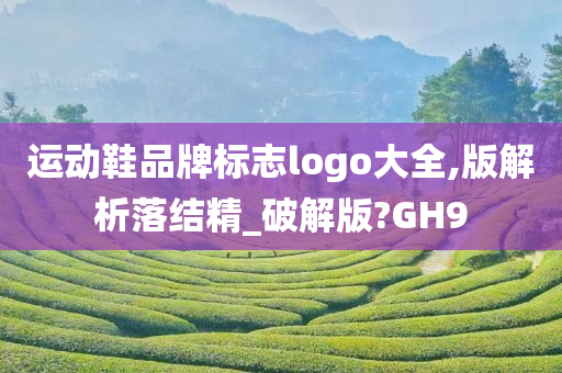 运动鞋品牌标志logo大全,版解析落结精_破解版?GH9