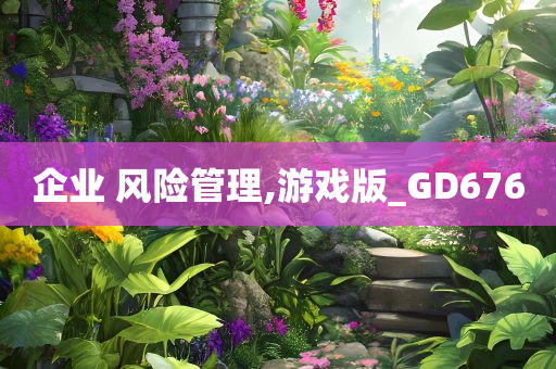 企业 风险管理,游戏版_GD676