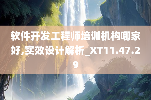 软件开发工程师培训机构哪家好,实效设计解析_XT11.47.29