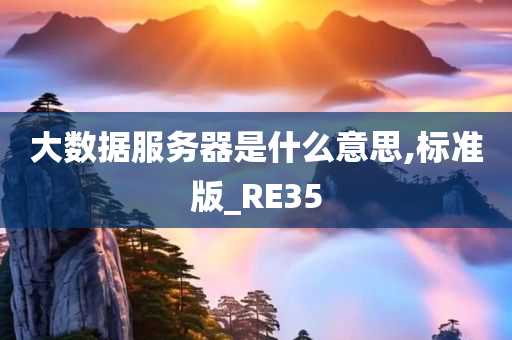 大数据服务器是什么意思,标准版_RE35