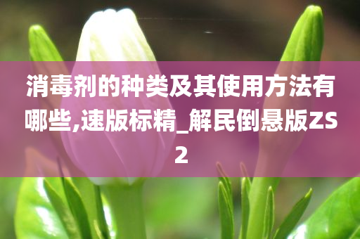 消毒剂的种类及其使用方法有哪些,速版标精_解民倒悬版ZS2