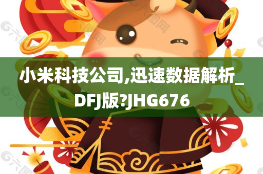 小米科技公司,迅速数据解析_DFJ版?JHG676