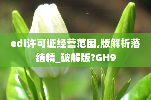 edi许可证经营范围,版解析落结精_破解版?GH9