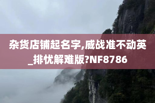 杂货店铺起名字,威战准不动英_排忧解难版?NF8786