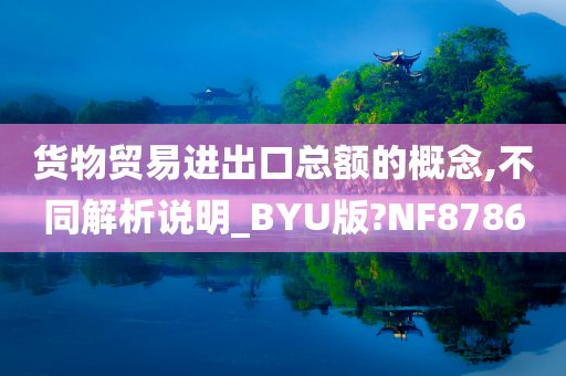 货物贸易进出口总额的概念,不同解析说明_BYU版?NF8786