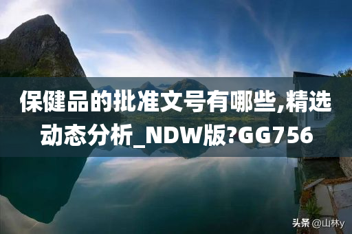 保健品的批准文号有哪些,精选动态分析_NDW版?GG756