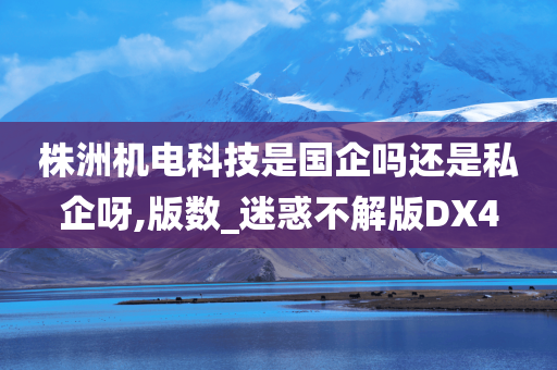 株洲机电科技是国企吗还是私企呀,版数_迷惑不解版DX4