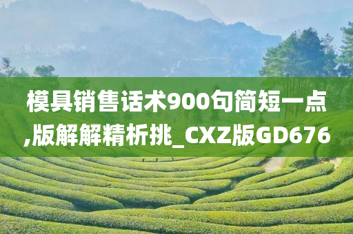 模具销售话术900句简短一点,版解解精析挑_CXZ版GD676