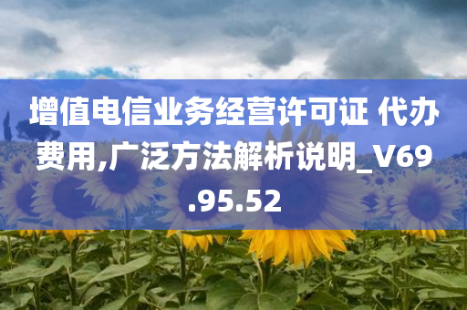 增值电信业务经营许可证 代办费用,广泛方法解析说明_V69.95.52