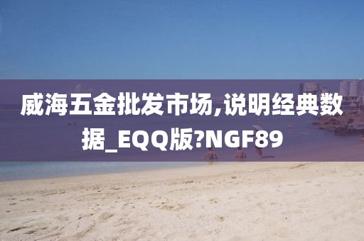 威海五金批发市场,说明经典数据_EQQ版?NGF89