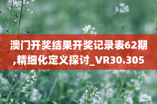 澳门开奖结果开奖记录表62期,精细化定义探讨_VR30.305