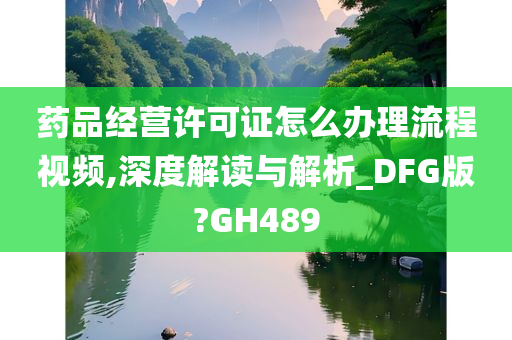 药品经营许可证怎么办理流程视频,深度解读与解析_DFG版?GH489