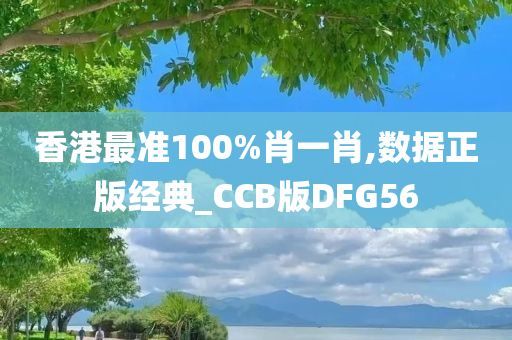 香港最准100%肖一肖,数据正版经典_CCB版DFG56