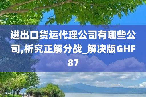 进出口货运代理公司有哪些公司,析究正解分战_解决版GHF87