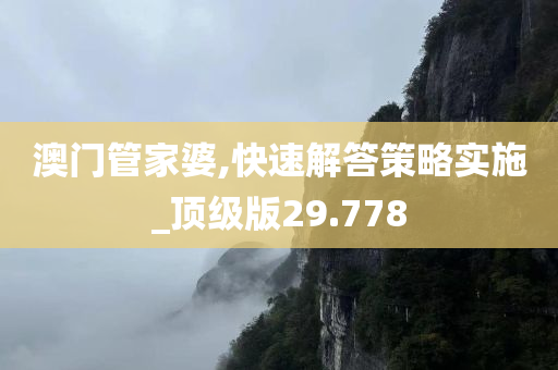 澳门管家婆,快速解答策略实施_顶级版29.778