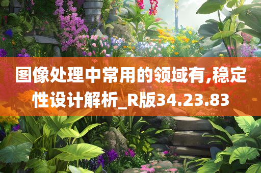 图像处理中常用的领域有,稳定性设计解析_R版34.23.83