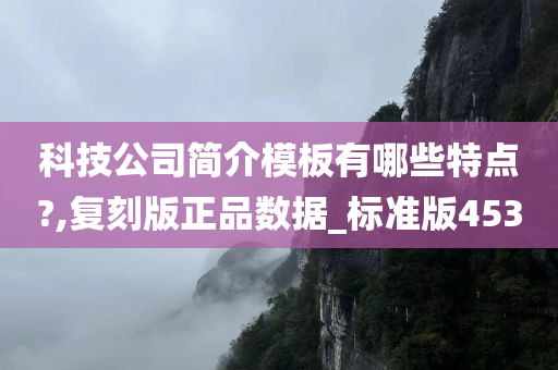 科技公司简介模板有哪些特点?,复刻版正品数据_标准版453