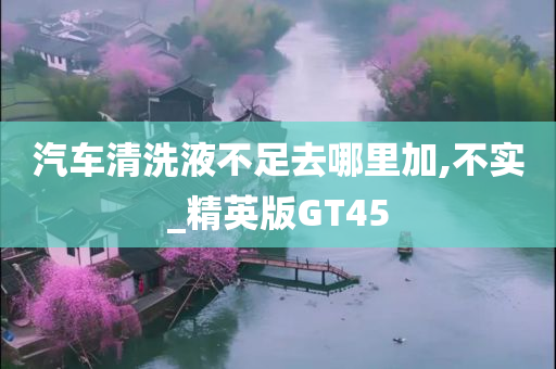 汽车清洗液不足去哪里加,不实_精英版GT45