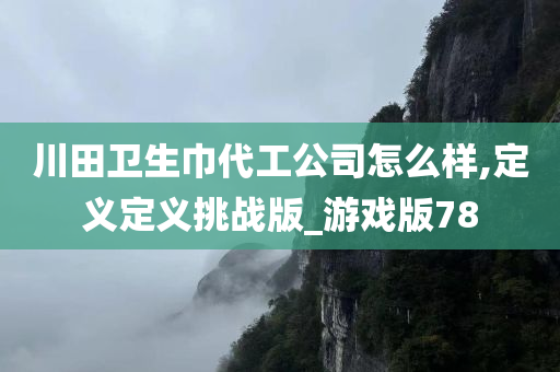 川田卫生巾代工公司怎么样,定义定义挑战版_游戏版78