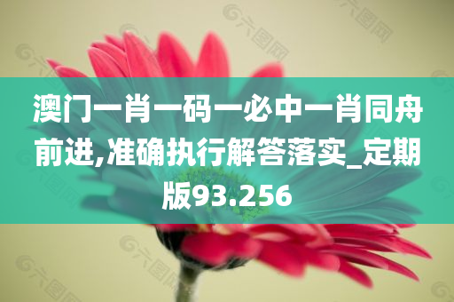 澳门一肖一码一必中一肖同舟前进,准确执行解答落实_定期版93.256