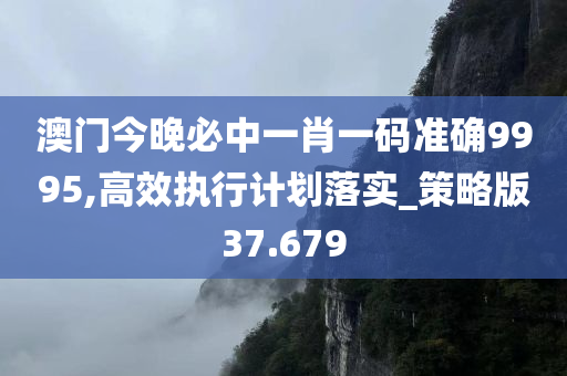 澳门今晚必中一肖一码准确9995,高效执行计划落实_策略版37.679