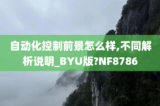 自动化控制前景怎么样,不同解析说明_BYU版?NF8786