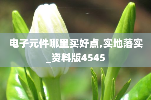 电子元件哪里买好点,实地落实_资料版4545