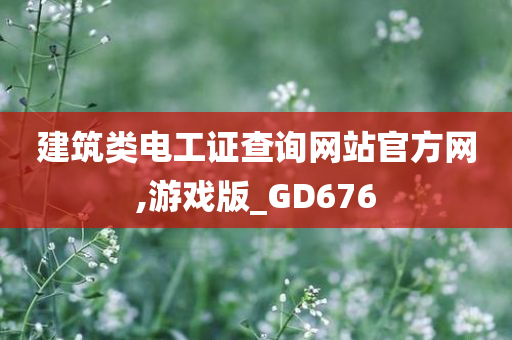 建筑类电工证查询网站官方网,游戏版_GD676