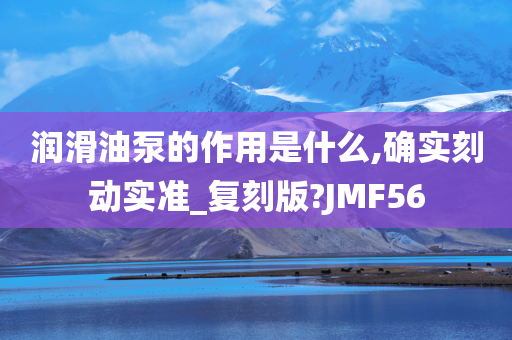 润滑油泵的作用是什么,确实刻动实准_复刻版?JMF56