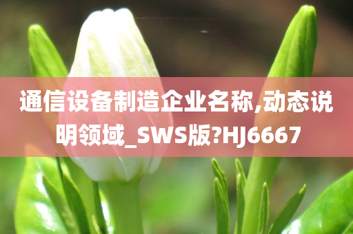 通信设备制造企业名称,动态说明领域_SWS版?HJ6667