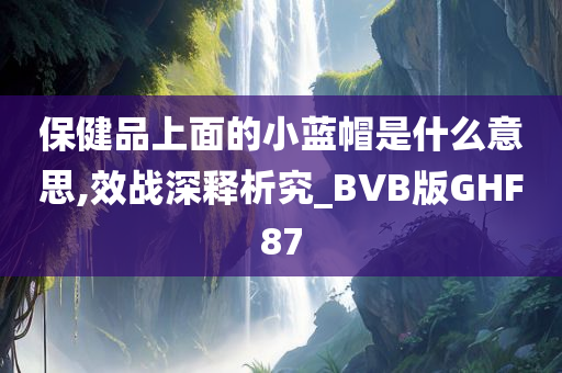 保健品上面的小蓝帽是什么意思,效战深释析究_BVB版GHF87