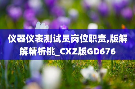 仪器仪表测试员岗位职责,版解解精析挑_CXZ版GD676