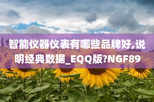 智能仪器仪表有哪些品牌好,说明经典数据_EQQ版?NGF89