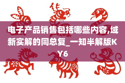 电子产品销售包括哪些内容,域新实解的同总复_一知半解版KY6