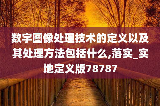 数字图像处理技术的定义以及其处理方法包括什么,落实_实地定义版78787