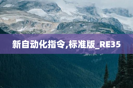 新自动化指令,标准版_RE35