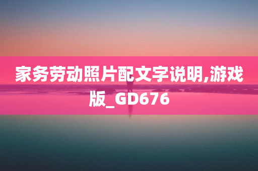 家务劳动照片配文字说明,游戏版_GD676