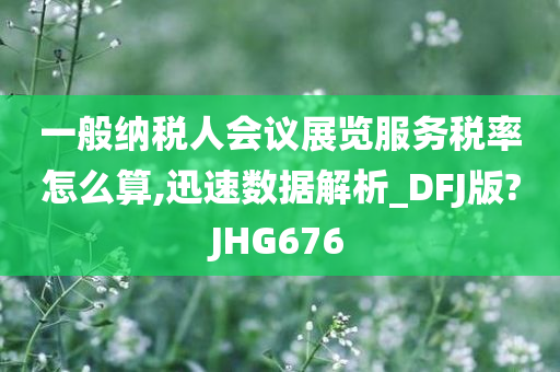 一般纳税人会议展览服务税率怎么算,迅速数据解析_DFJ版?JHG676