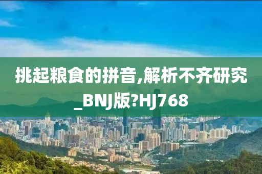 挑起粮食的拼音,解析不齐研究_BNJ版?HJ768